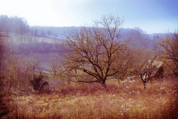 Chambre D'Hotes Au Jardin De La Bachellerie Exteriér fotografie